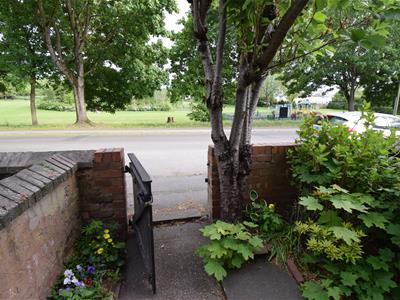 Picture 20